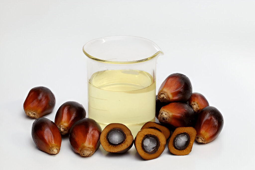 Crude Palm Kernel Oil CPKO
